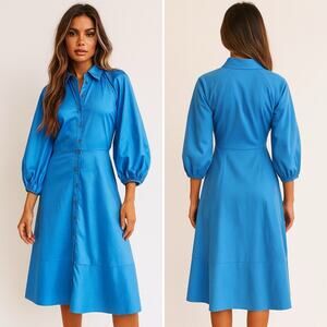 HARSHMAN Muriel Shirt Dress Supersonic Blue Long Sleeve Button Size Small NEW